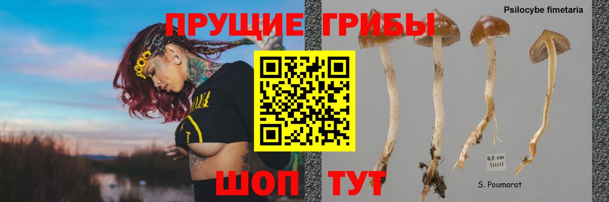 Галлюциногенные грибы Magic Shrooms  Псилоцибиновые грибы Cubensis  Владикавказ  Вход с VPN 